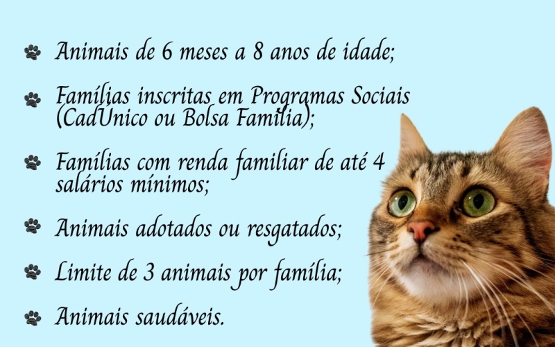 Inscrições Abertas: CastraPet Paraná – Castração Gratuita de Cães e Gatos